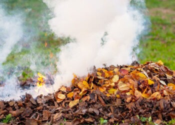 Сжигание листвы запрещено: штрафы до 40 тысяч леев за нарушение закона