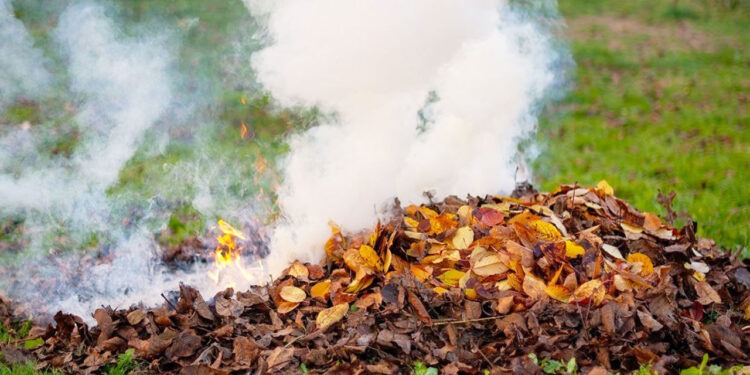 Сжигание листвы запрещено: штрафы до 40 тысяч леев за нарушение закона