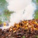 Сжигание листвы запрещено: штрафы до 40 тысяч леев за нарушение закона