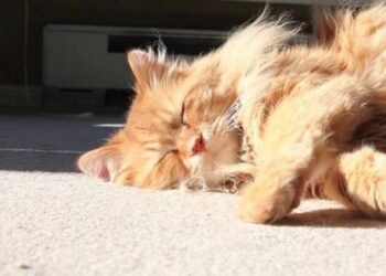 В Молдове неделя начинается тёплым и ясным днём