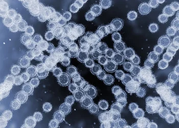 Устойчивый к лекарствам грибок «стремительно» распространяется в европейских больницах, предупреждает агентство здравоохранения ЕС