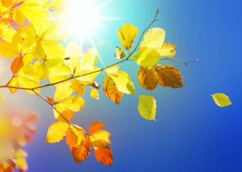 Сентябрь дарит еще один теплый день: погода в Молдове 22 сентября