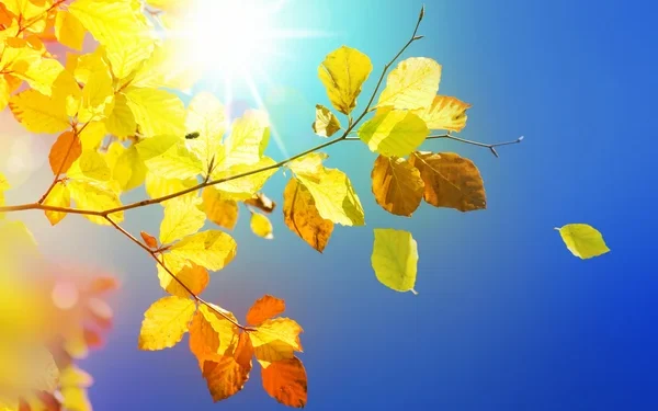 Сентябрь дарит еще один теплый день: погода в Молдове 22 сентября