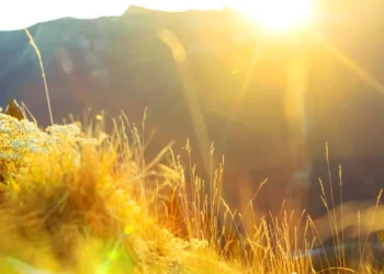 Второй день осени в Молдове будет солнечным и жарким