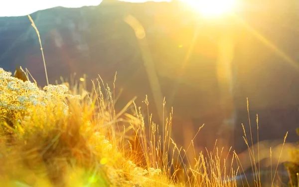 Второй день осени в Молдове будет солнечным и жарким