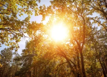 Вторник в Молдове обещает ясную и комфортную осеннюю погоду