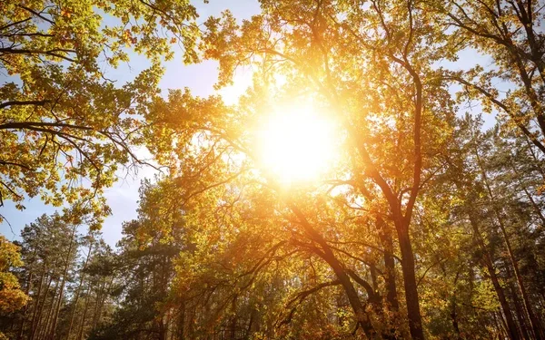 Вторник в Молдове обещает ясную и комфортную осеннюю погоду