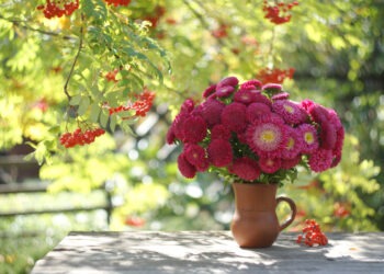 10 сентября в Молдове: дождливое утро, тёплый и ясный день