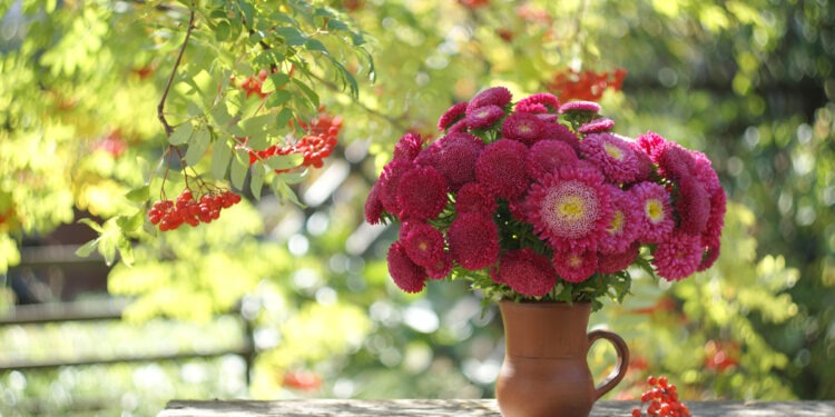 10 сентября в Молдове: дождливое утро, тёплый и ясный день