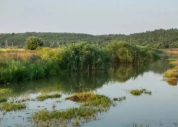 Уровень воды в реках Молдовы продолжает снижаться. Объявлены три кода: красный, оранжевый и жёлтый