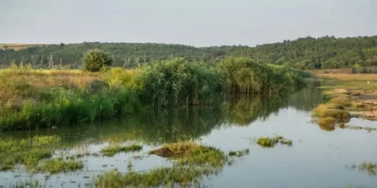 Уровень воды в реках Молдовы продолжает снижаться. Объявлены три кода: красный, оранжевый и жёлтый