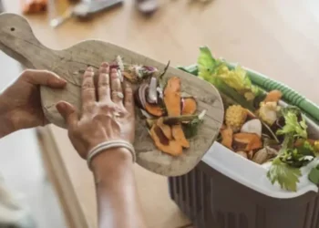 Треть произведённой пищи оказывается на свалке. В Молдове каждый житель выбрасывает около 75 кг в год