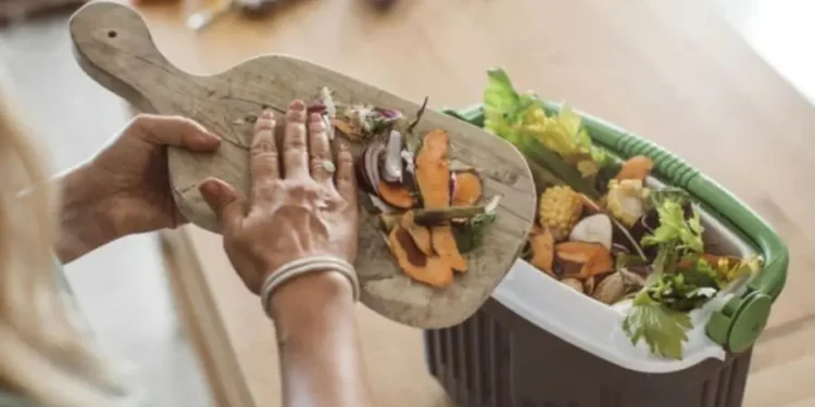 Треть произведённой пищи оказывается на свалке. В Молдове каждый житель выбрасывает около 75 кг в год