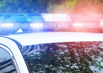 Мужчина погиб после того, как мотокультиватор перевернулся в овраг. Тело найдено через четыре дня