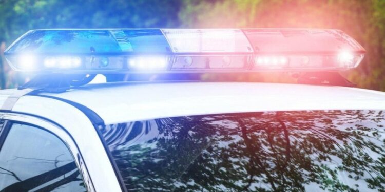 Мужчина погиб после того, как мотокультиватор перевернулся в овраг. Тело найдено через четыре дня