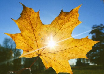 Осень постепенно вступает в свои права в Молдове