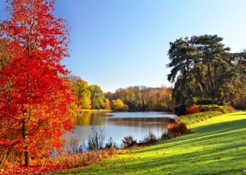 Синоптики рассказали какой будет погода 16 сентября