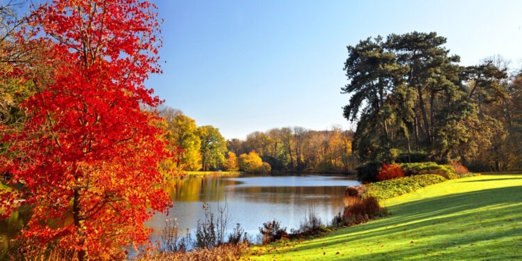 Синоптики рассказали какой будет погода 16 сентября