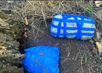 Разоблачена наркогруппировка: изъято наркотиков на 2,5 млн леев