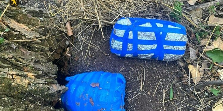 Разоблачена наркогруппировка: изъято наркотиков на 2,5 млн леев