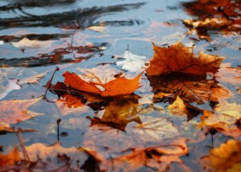 Во вторник Молдову накроют дожди — на юге возможны кратковременные прояснения