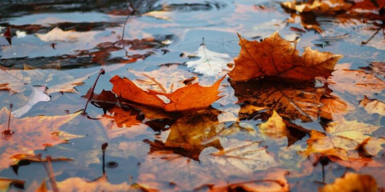 Во вторник Молдову накроют дожди — на юге возможны кратковременные прояснения