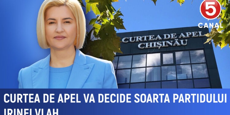 Curtea de Apel va decide soarta partidului Irinei Vlah