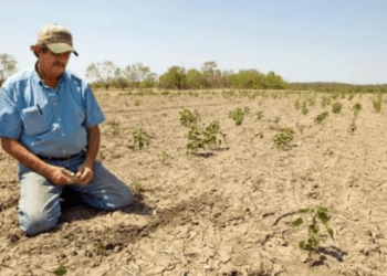 La ce poate duce naivitatea fermierilor moldoveni: riscuri și lecții din experiența UE