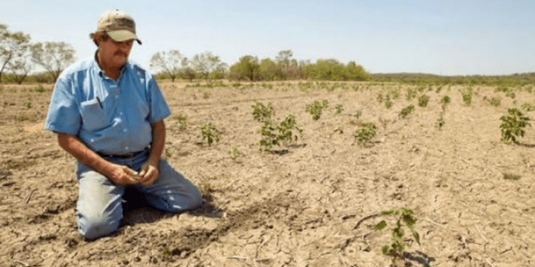 La ce poate duce naivitatea fermierilor moldoveni: riscuri și lecții din experiența UE