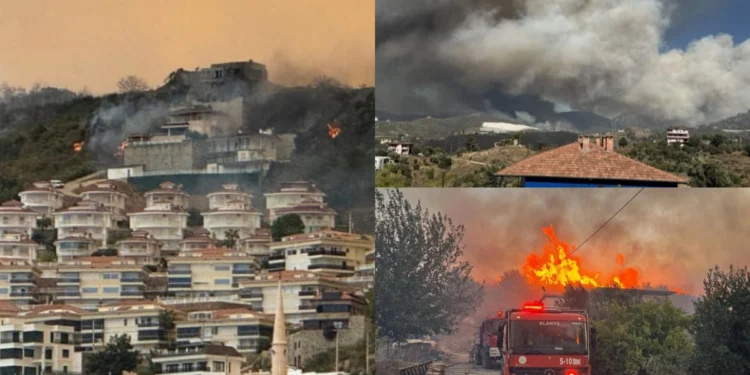 Лесные пожары в двух провинциях Турции достигли населенных пунктов