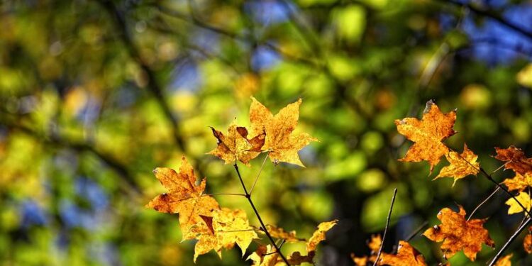 Прогноз погоды на 20 сентября