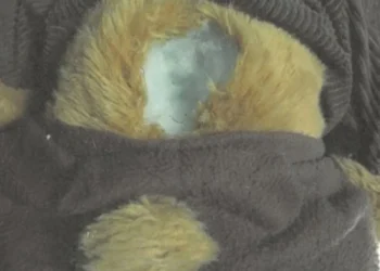 Женщину заставили прислать полмиллиона в плюшевом мишке для фальшивого спасения любимого