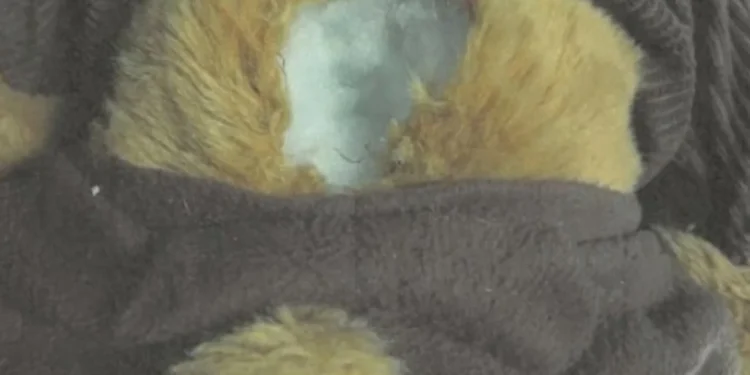 Женщину заставили прислать полмиллиона в плюшевом мишке для фальшивого спасения любимого