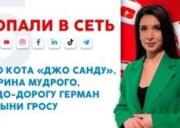Про кота «Джо Санду», Дорина Мудрого, недо-дорогу Герман и дыни Гросу | Попали в сеть