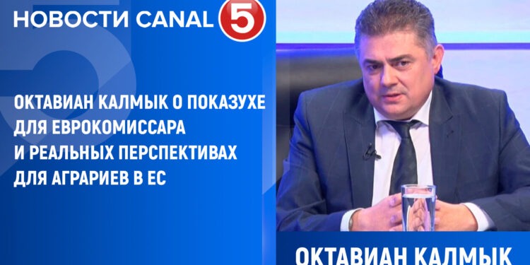 Октавиан Калмык о показухе для еврокомиссара и реальных перспективах для аграриев в ЕС