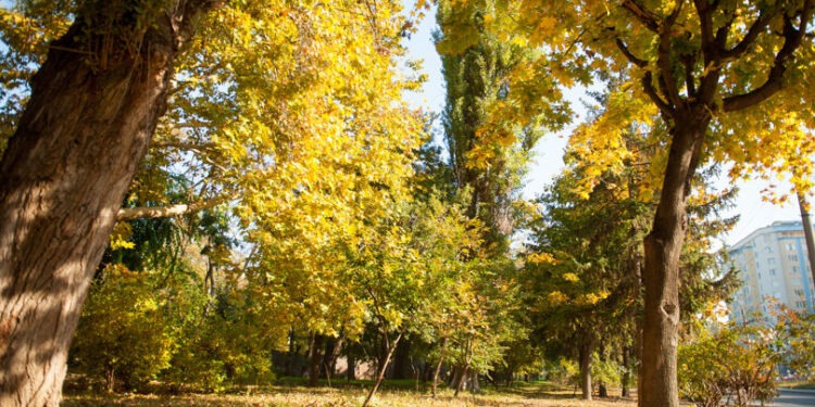 Vreme stabilă și însorită în Moldova: maxime de 26°C și cer senin