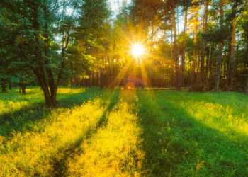 Prognoza zilei: cer variabil și averse locale în a doua parte a zilei