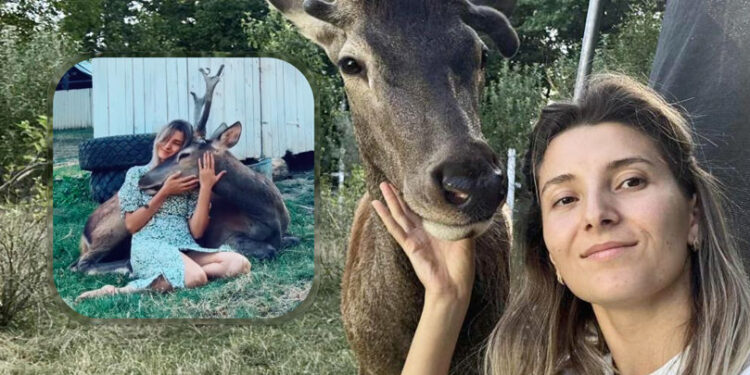 Cerbul Gabi, vedetă în Bahmut: domesticit, blând și admirat de localnici