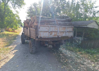 Razie la Nisporeni: Șoferi amendați pentru transport ilegal de lemne