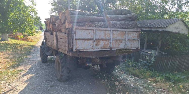 Razie la Nisporeni: Șoferi amendați pentru transport ilegal de lemne