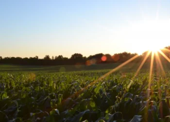 Прогноз погоды на 6 сентября