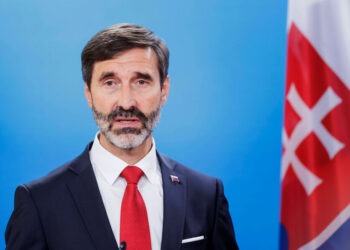 Словакия заявила об отсутствии альтернативы российскому газу