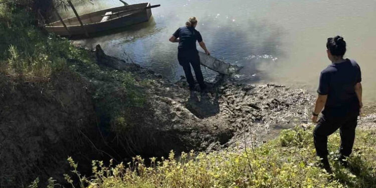 Razii în sudul țării: Plase de pescuit, instalate ilegal, găsite în Prut