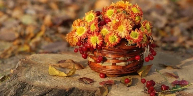 Прогноз погоды на 7 сентября