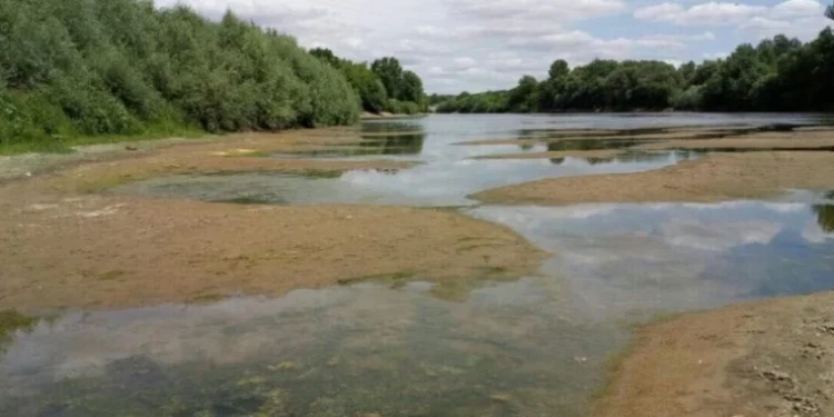 Meteorologii au anunțat cod „roșu”: nivelul apei în rîuri este foarte scăzut