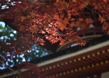 Moldova se bucură astăzi de vreme stabilă și cer senin