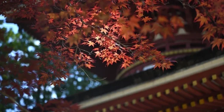 Moldova se bucură astăzi de vreme stabilă și cer senin