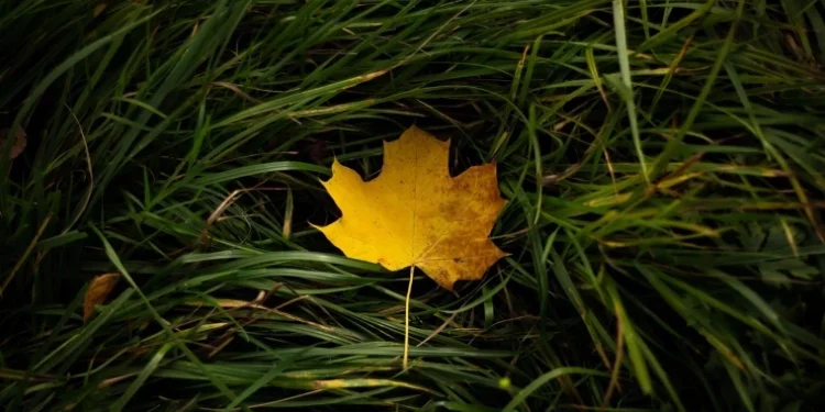 Meteo: Cer variabil și vînt puternic în Moldova