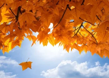 Vreme variabilă și fără ploi: maxime de până la +25°C