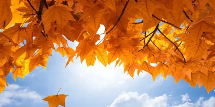 Vreme variabilă și fără ploi: maxime de până la +25°C